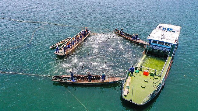 Ogromna mreža za ribolov u Hangdžouu