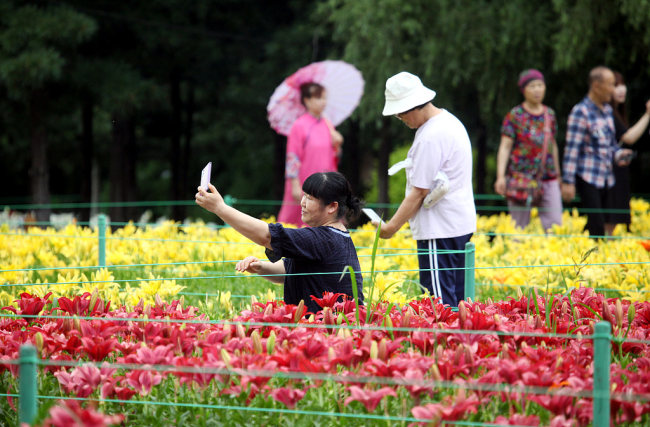 Uživajte u očaravajućem pogledu na cveće u Šenjangu