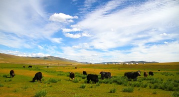“Хятад орныг танин мэдэх.Монгол улстай холбогдох” Өвөр Монголын цахим соёлын өдрүүд
