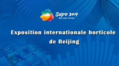 Exposition internationale horticole 2019 de Beijing