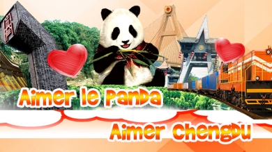 Aimer le Panda,aimer Chengdu