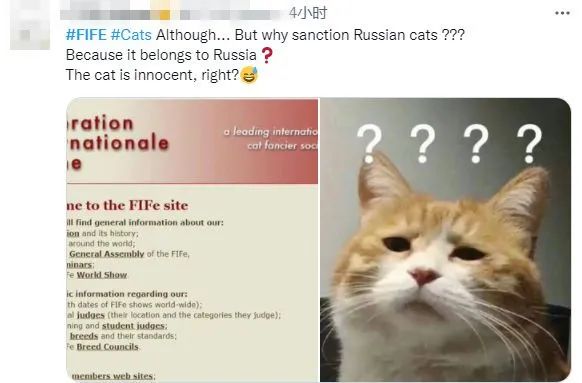 گربه روسی تحریم شد