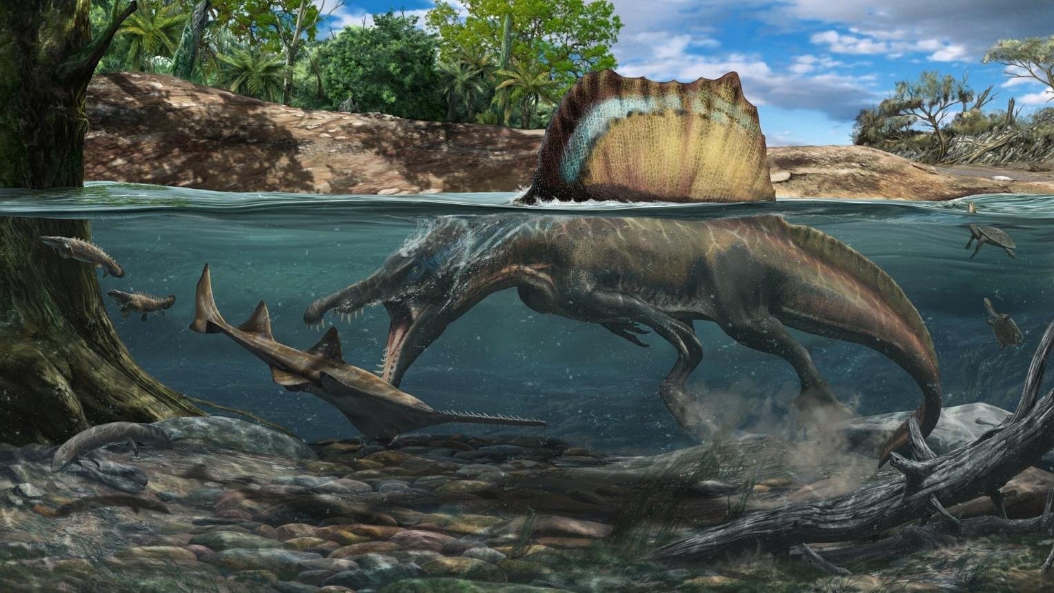 Dabbar Spinosaurus na iya kamun dabbobi a karkashin ruwa