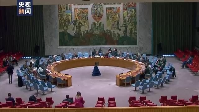 شورای امنیت سازمان ملل: از تلاش ها برای رسیدن به راه حل صلح آمیز درگیری روسیه و اوکراین حمایت می کنیما