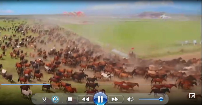 صحنه باشکوه از دویدن هزاران اسب شین جیانگا