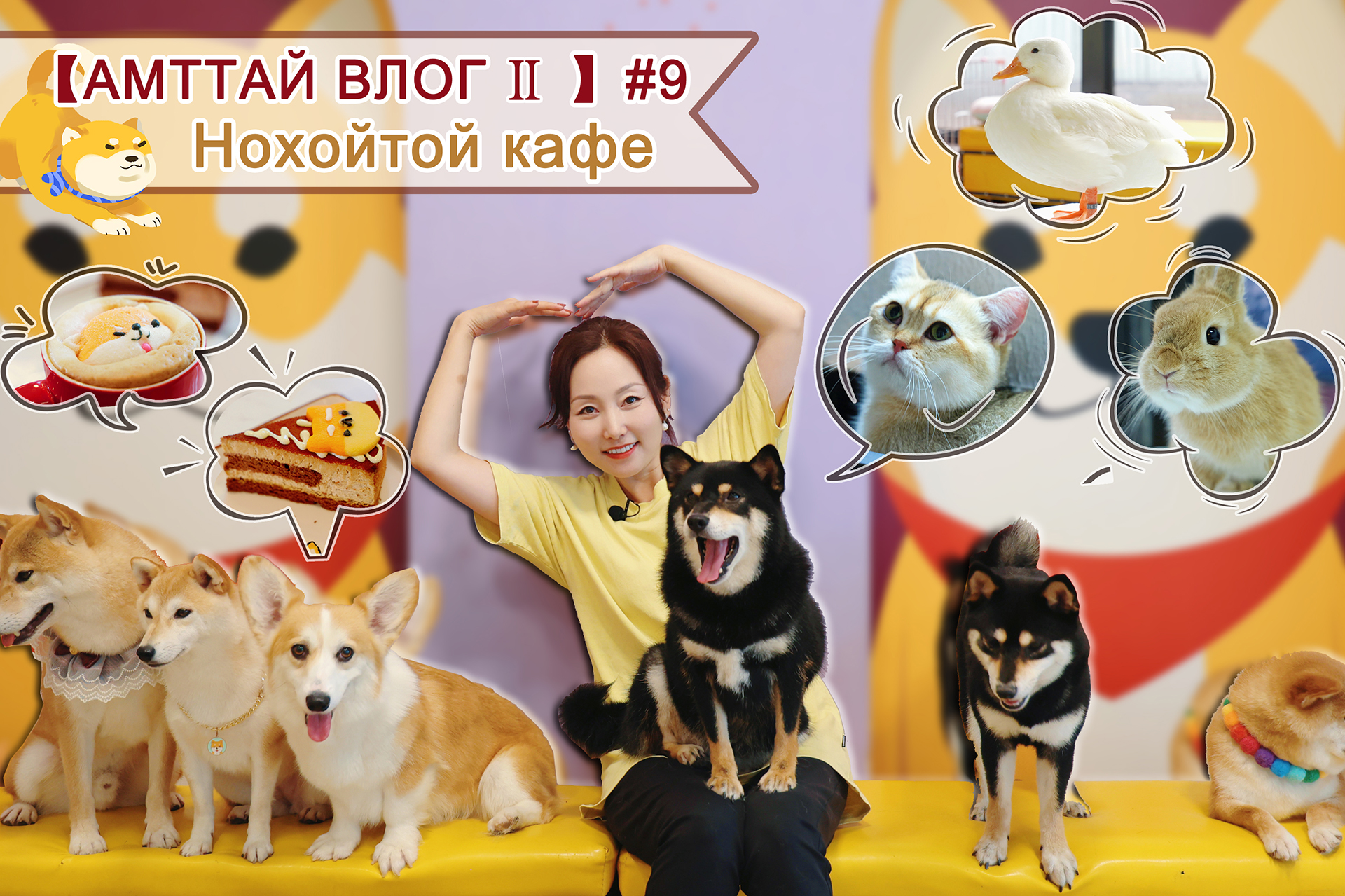 【АМТТАЙ ВЛОГ Ⅱ】#9“Нохойтой кафе”