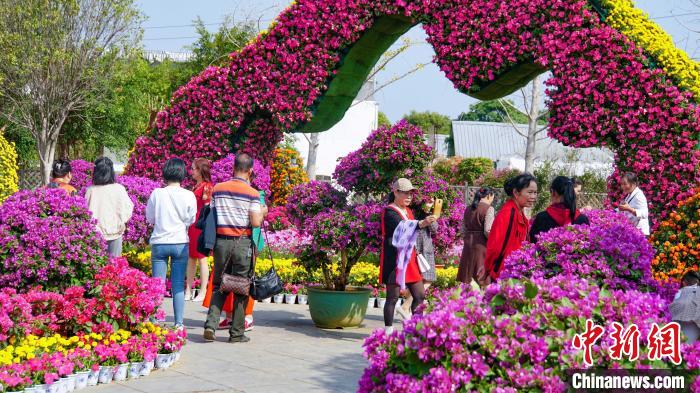 Ekspo Bunga dan Anak Pokok Selatan China Pertama