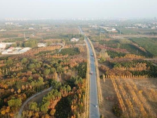 上空から撮影した秋ムード満点の雄安新区　河北省