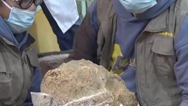 拾った骨 中国産 中国、100万年前の人類の頭蓋骨化石の掘り出しに成功