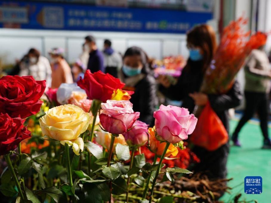 春節を控え活気づく花市場 雲南省昆明