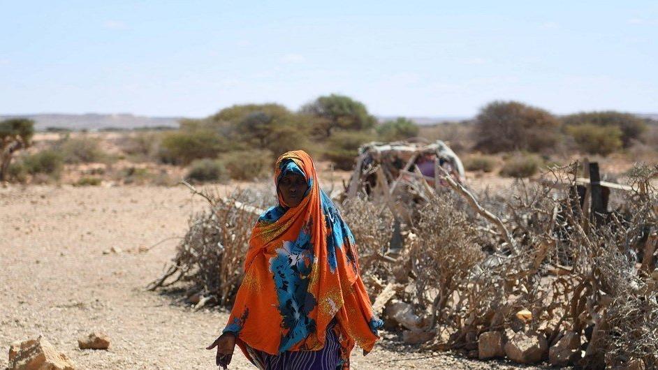 НҮБ-ээс Сомалид туслах хандивын аян эхлүүлэв