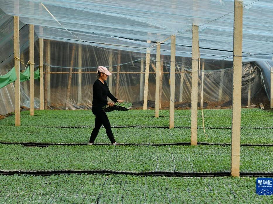 Perkembangan Industri di Kawasan Takungan Air Bah
