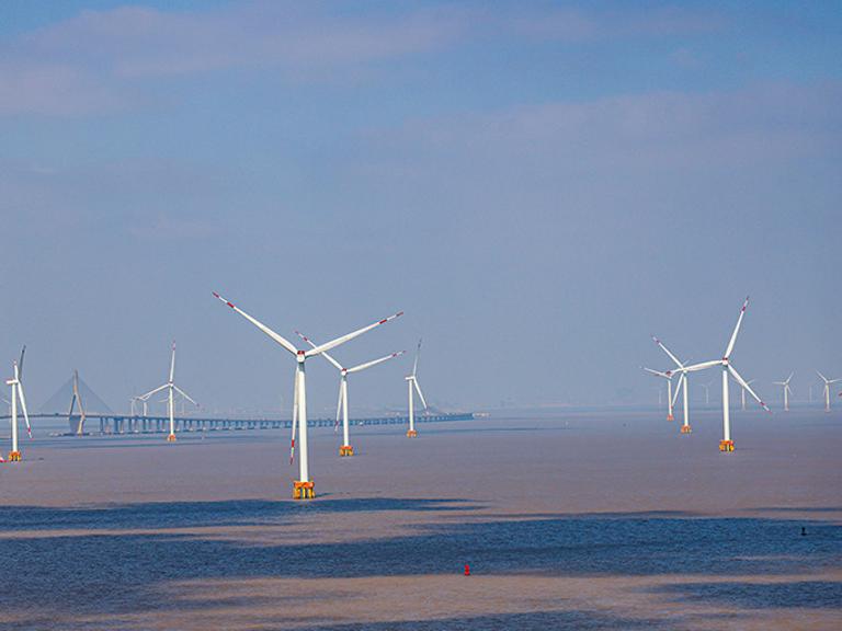 上海東海大橋洋上風力発電所の美しい風景