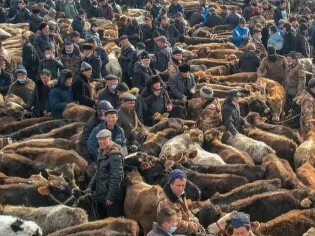 Pasar “Kambing dan Lembu” di Xinjiang