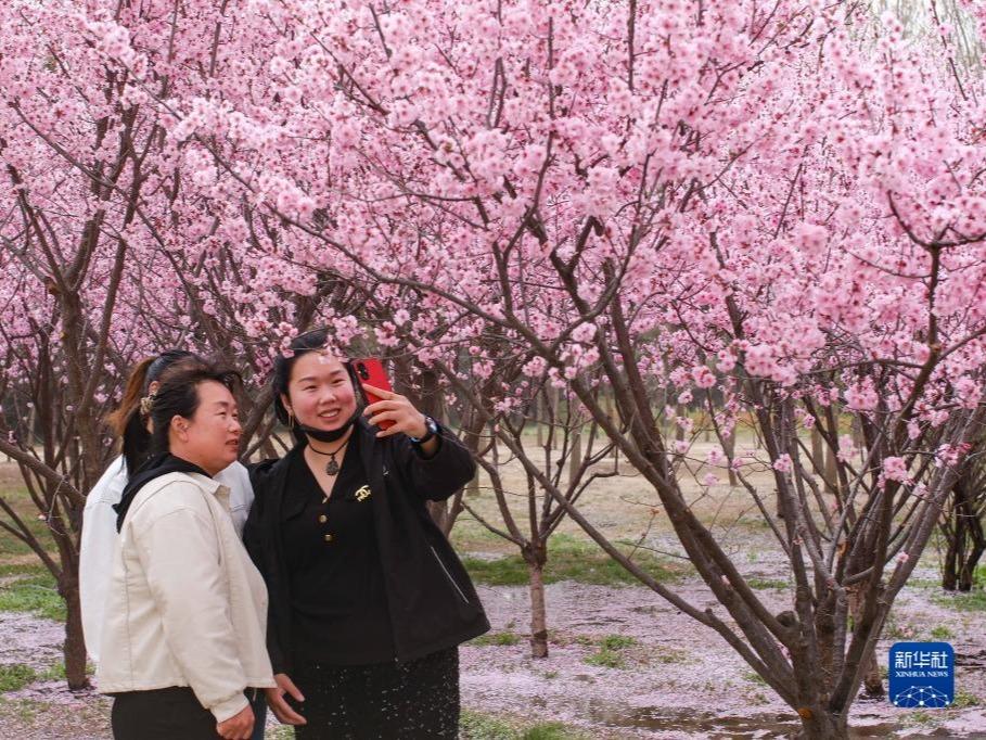 Keindahan Bunga Hiasi Taman Huanchun
