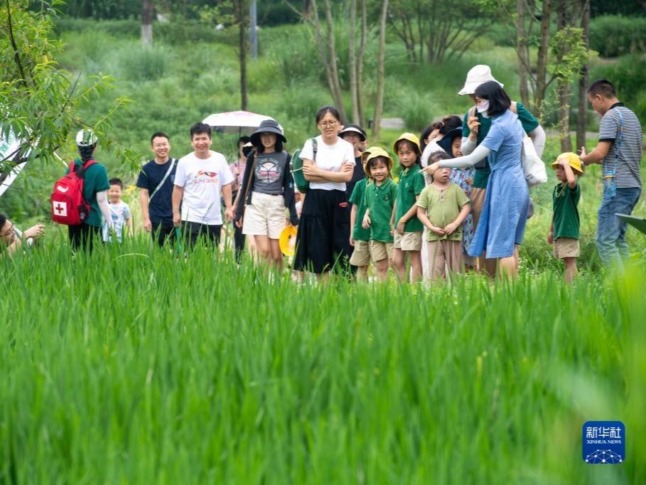 Pulau Guangyang Bagaikan ‘Bilik Darjah’ untuk Demonstrasi Ekosistem