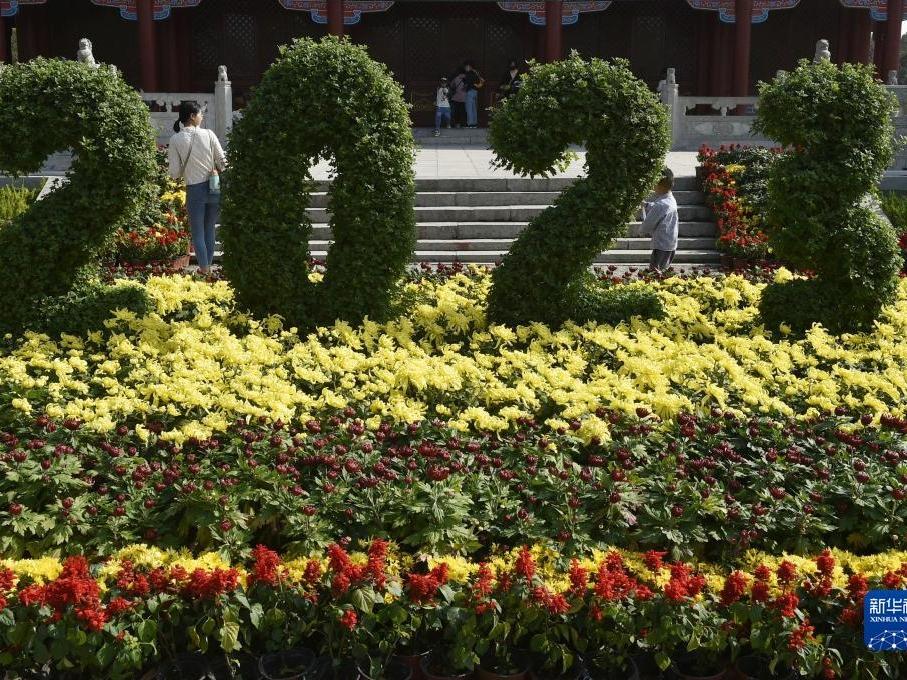 Taburan Bunga Kekwa Harum di Bandar Kaifeng