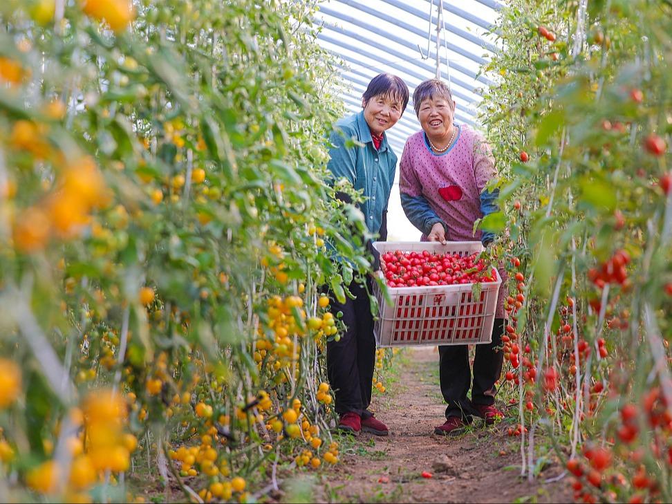Industri Pertanian Pintar Berkembang Baik di Anhui