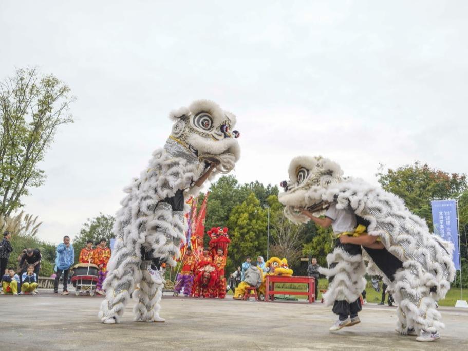 Pertandingan Tarian Naga dan Singa di Wenzhou