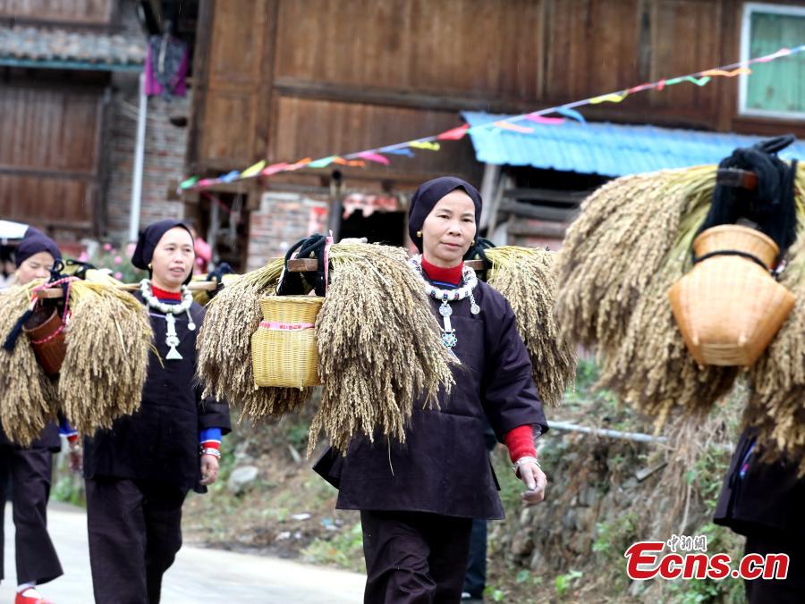 Οι χωρικοί γιορτάζουν τη συγκομιδή κολλώδους ρυζιού κατά τη διάρκεια ενός λαϊκού φεστιβάλ στην αυτόνομη κομητεία Σαντζιάνγκ Ντονγκ, στην αυτόνομη περιοχή Γκουανγκσί Τζουάνγκ της νότιας Κίνας, στις 12 Νοεμβρίου 2023. (Φωτογραφία: China News Service/Wu Lianxun)