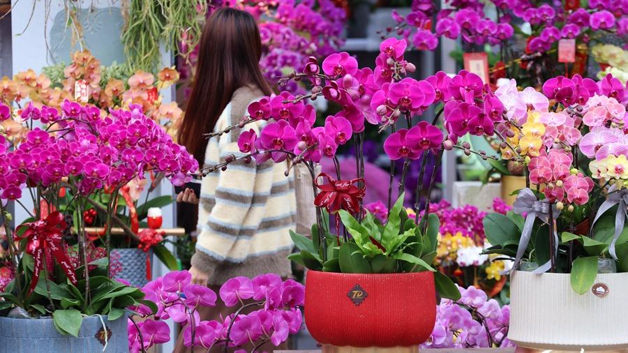بازار گل در آستانه عید بهار