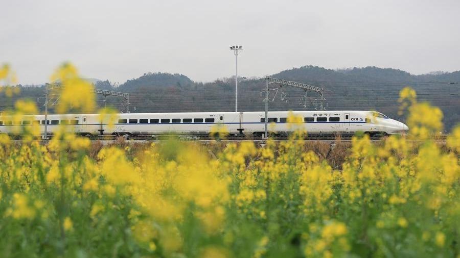 پیش بینی جابجایی 74 میلیون مسافر توسط راه آهن چین طی «عید قایق اژدها»ا