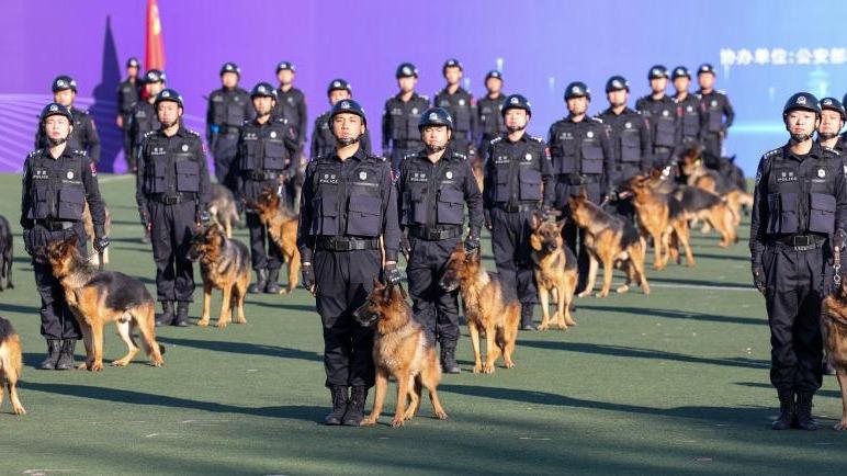 Pertandingan Anjing Polis di China