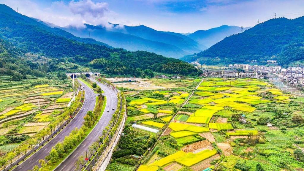 Wenzhou Peroleh Tuaian Padi Lumayan