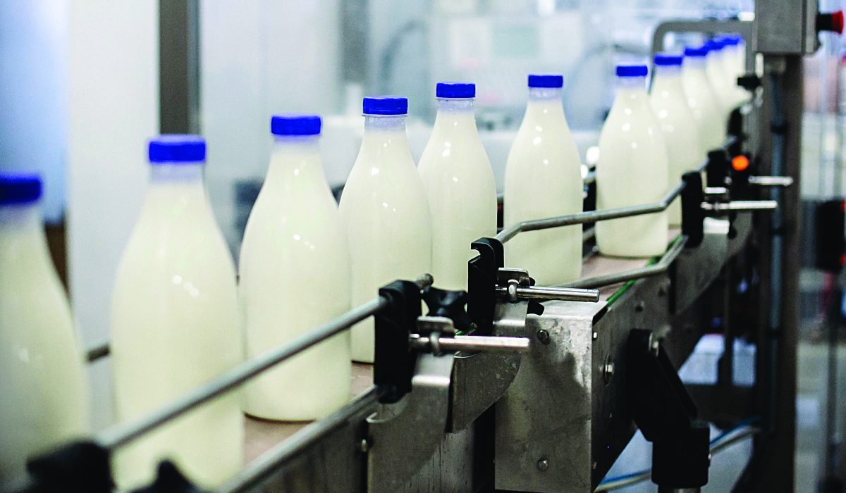 Prodhimi i qumështit (Foto Monitor)