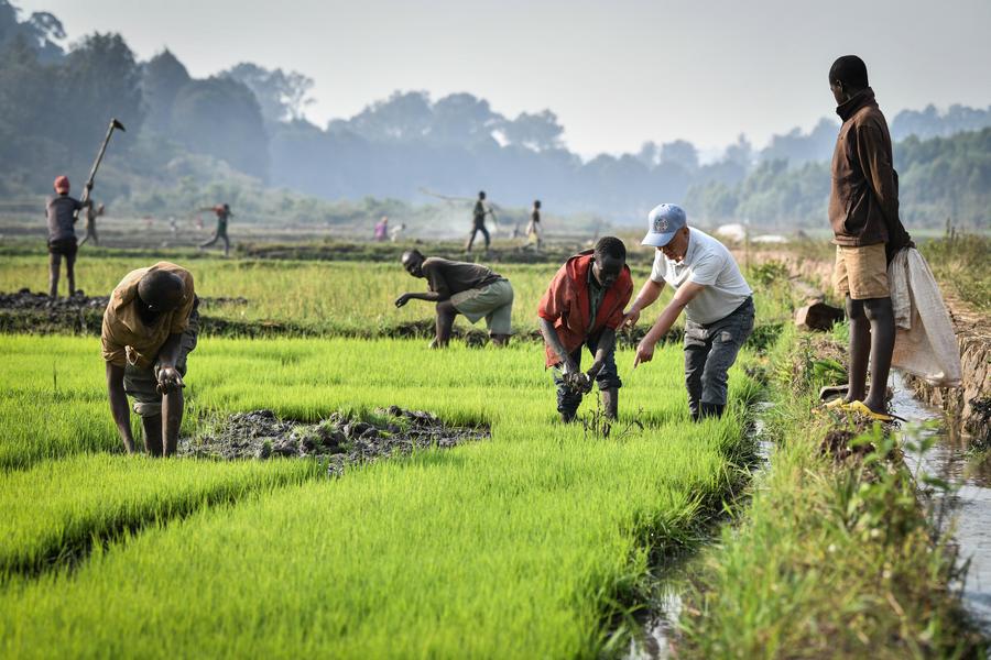 Foto:Xinhua