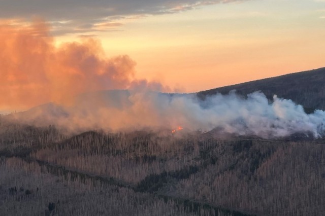 Zjarret ne Gjermani (Foto Rtsh)