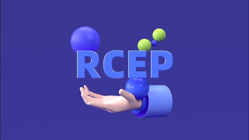RCEP 발효 6개월…회원국간 무역협력 성과 뚜렷