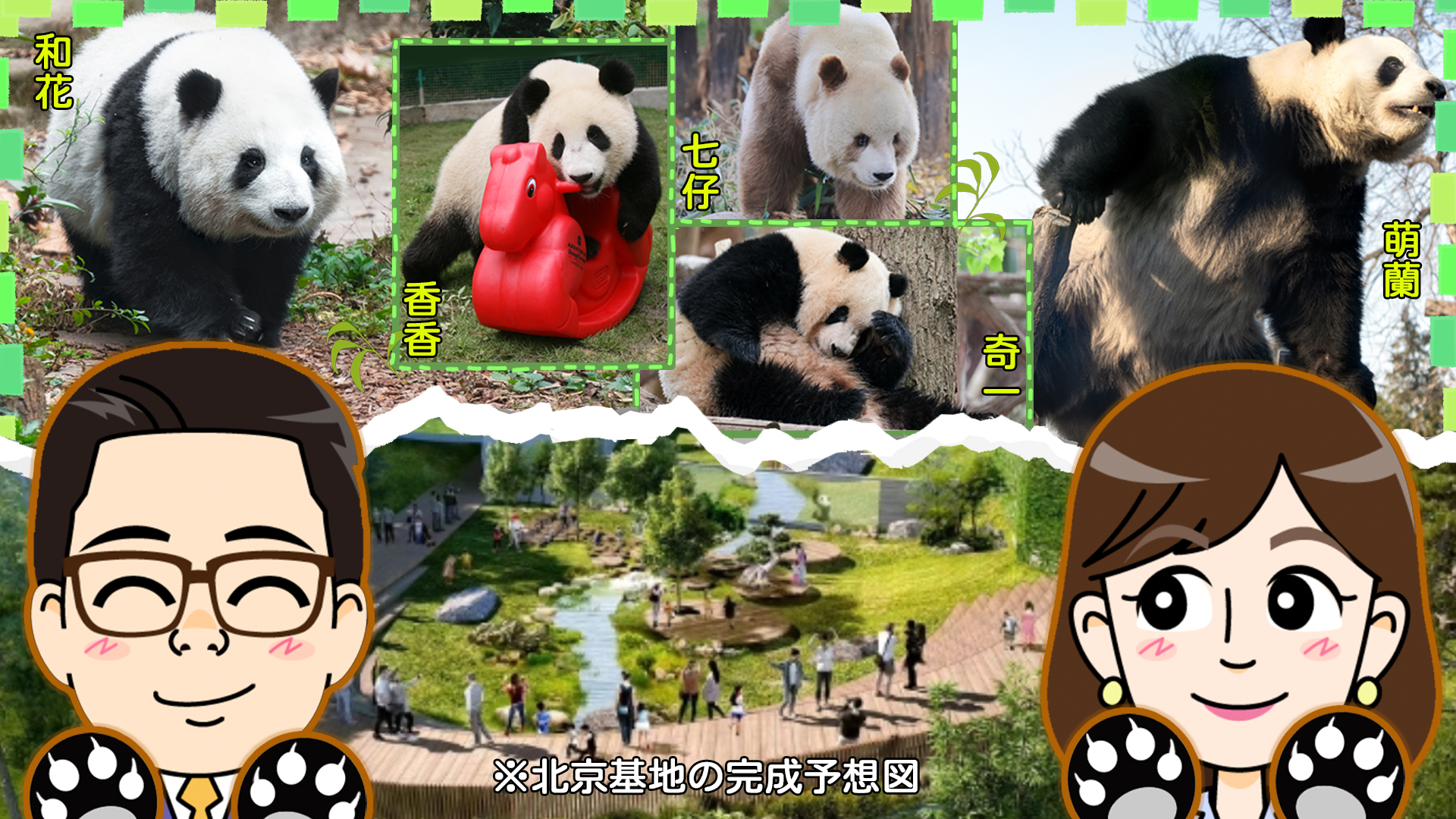 北京にパンダ40頭がやって来る 中国人もパンダが大好き！【わかった気になっチャイナ】