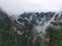 Gunung Zijin Ditenggelami dengan Kabus