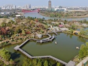Pesona Taman Yangzhou Gamit Pelancong