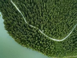 شگفت زدگی کارشناسان خارجی از نقش جنگل کاری های چین در کاهش جهانی کربن