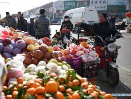 لمس نتایج زیبا و واقعی فقرزدایی زیست محیطی در یک خانواده عادی چین