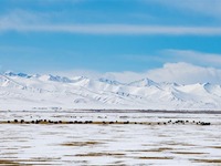 Landskap Salji di Utara Tibet