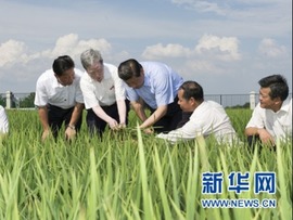 کشاورزی چین همچنان در صدر توجه حزب حاکم در سال 2021