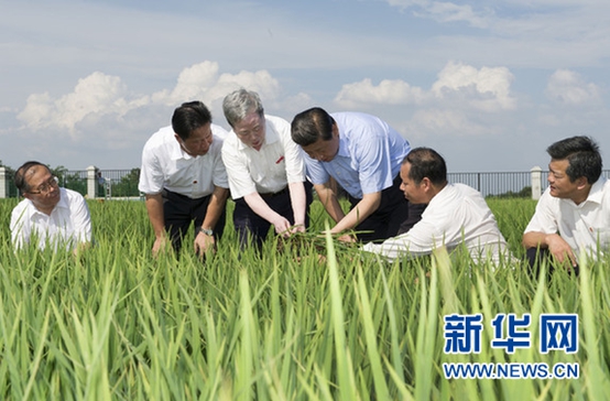 کشاورزی چین همچنان در صدر توجه حزب حاکم در سال 2021_fororder_R96234fb032efb2804c5c1440dead7a47