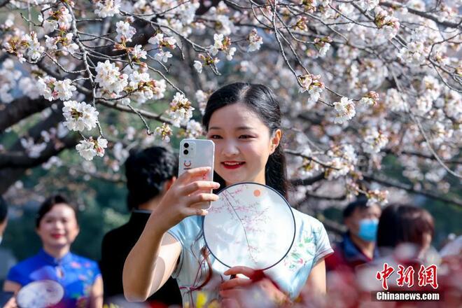 Bunga Sakura Mekar Warnai Universiti Wuhan_fororder_wuh1