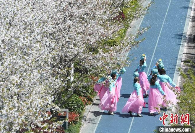 Keindahan Sakura Hiasi Sungai Qiantang_fororder_qt6.JPG