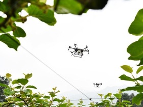 Dron Bantu Hapus Serangga Perosak
