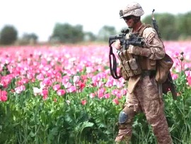 کشت و قاچاق مواد مخدر؛ میراث برجای مانده آمریکا در افغانستان