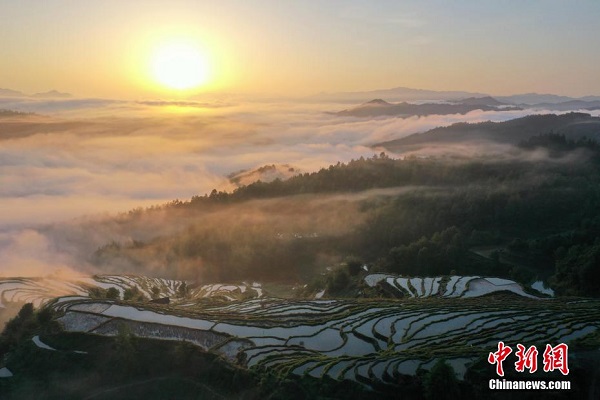 Keindahan Ladang Teres di Guizhou_fororder_321