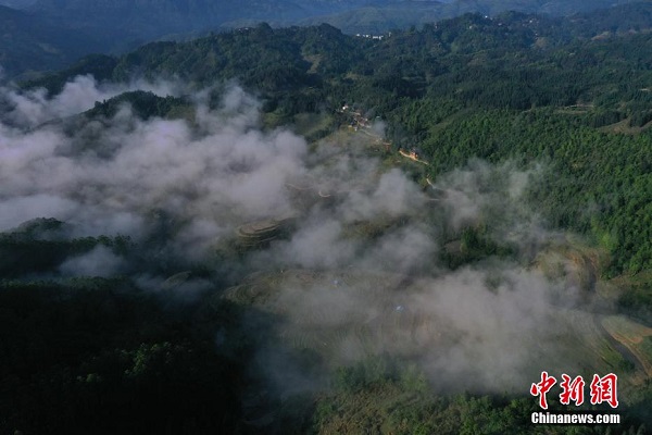 Keindahan Ladang Teres di Guizhou_fororder_323