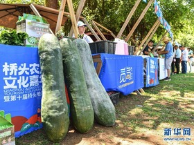 Chengmai: Karnival Pelancongan Pertanian pada Hujung Minggu