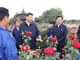 بازدید رهبر چین از شهر نان یانگا