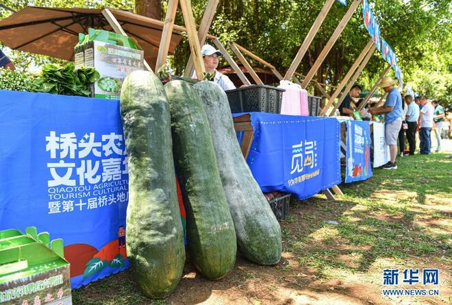 Chengmai: Karnival Pelancongan Pertanian pada Hujung Minggu_fororder_2021-05-19 105850