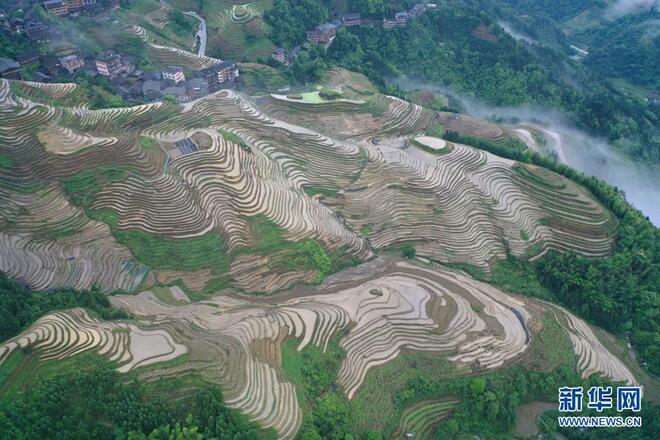 Panorama Ladang Berteres Mempesona di Guangxi_fororder_4C